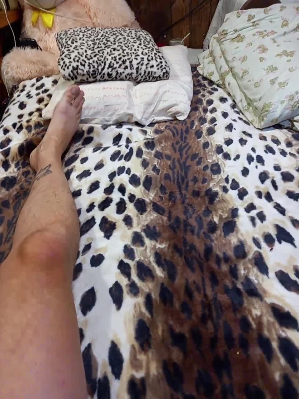 View or download file cottoncandy1_1 on 2024-10-28 from bongacams