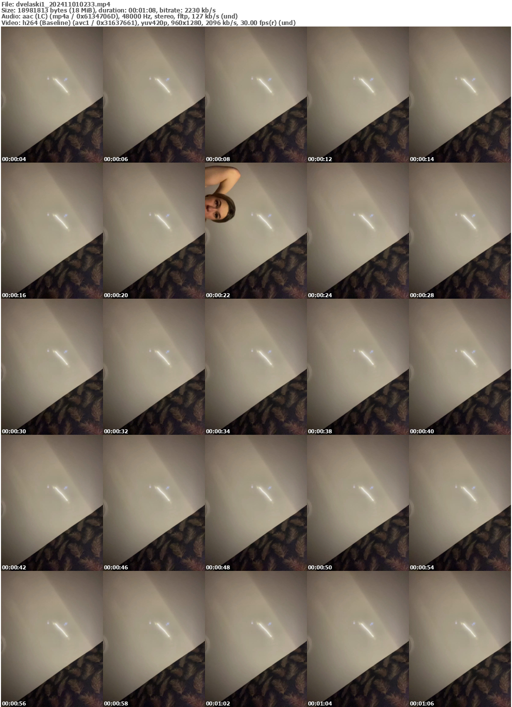 Preview thumb from dvelaski1 on 2024-11-01 @ bongacams