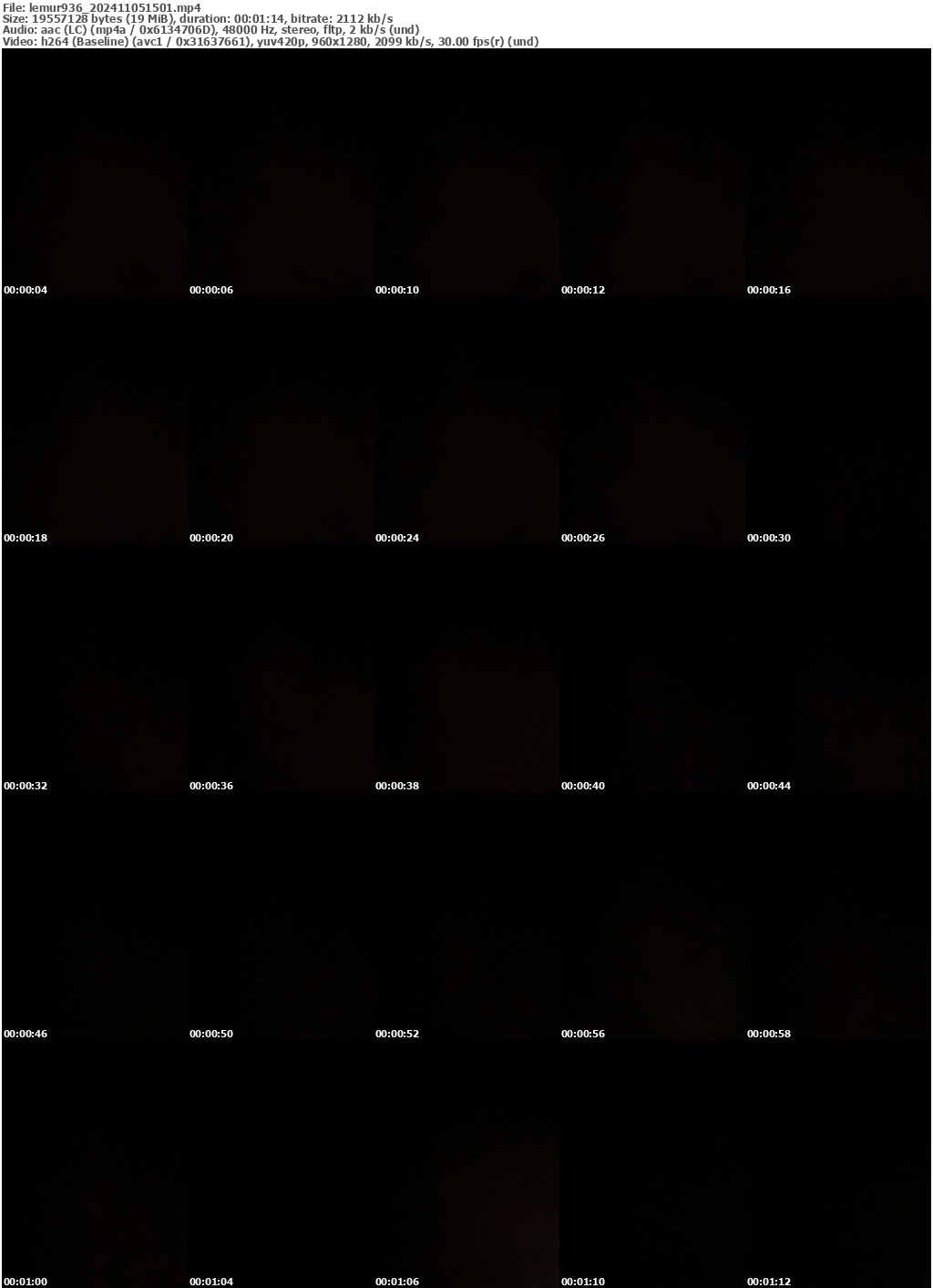 Preview thumb from lemur936 on 2024-11-05 @ bongacams