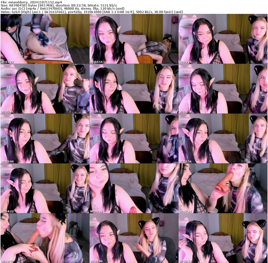 Preview thumb from evianddarcy on 2024-11-07 @ bongacams