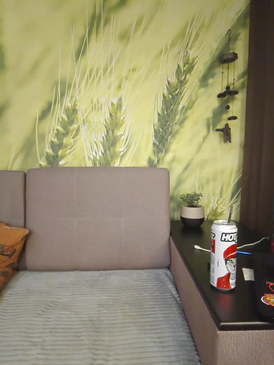 View or download file dianaahtender on 2024-11-09 from bongacams