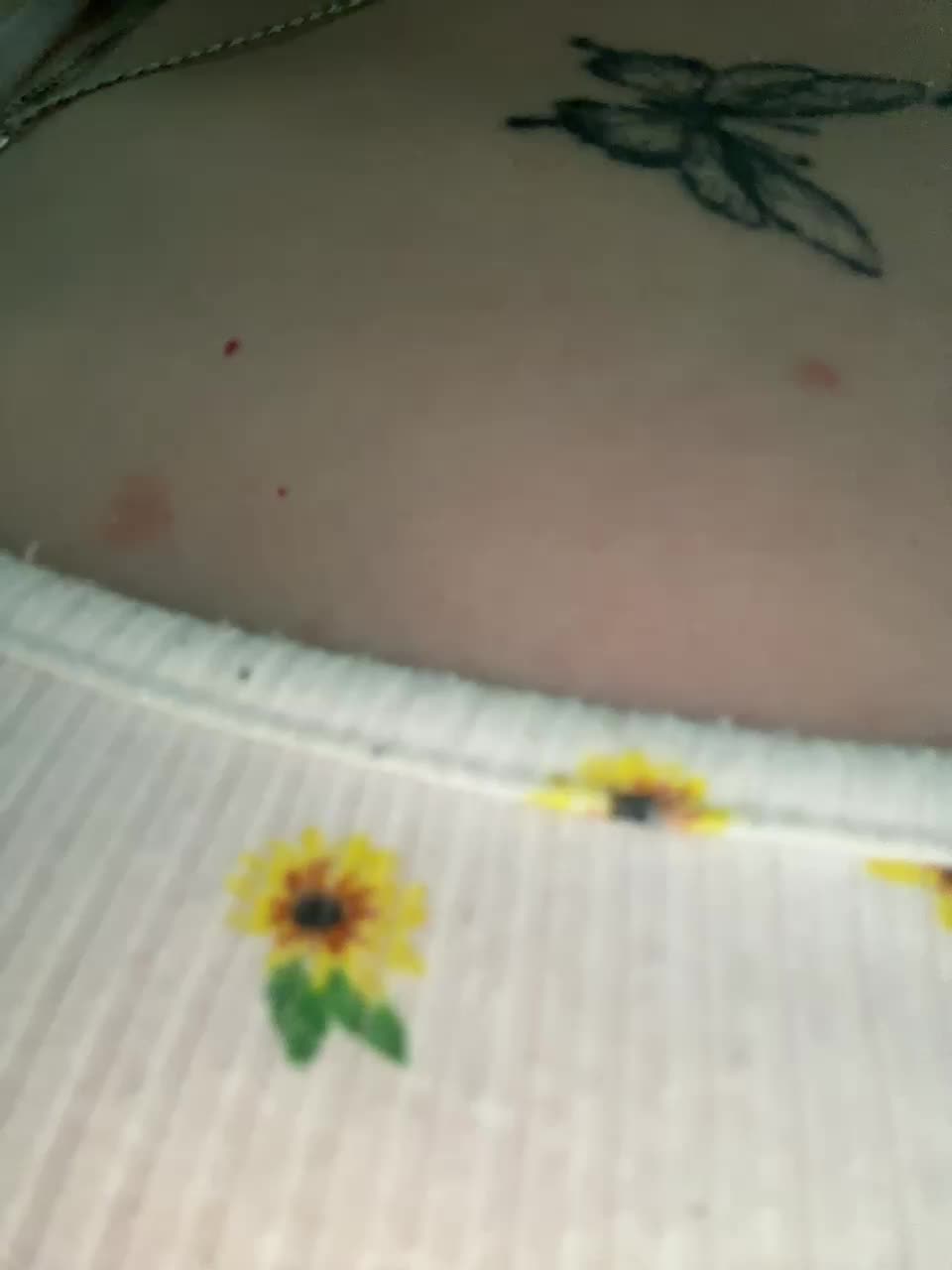 View or download file katedanverr on 2024-11-09 from bongacams