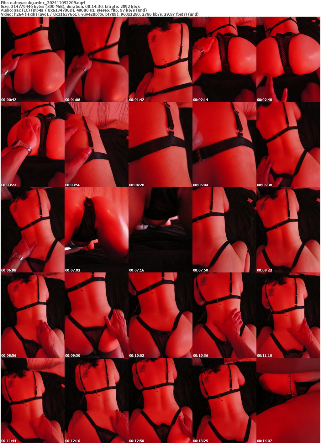 Preview thumb from natmyasubgardex on 2024-11-09 @ bongacams