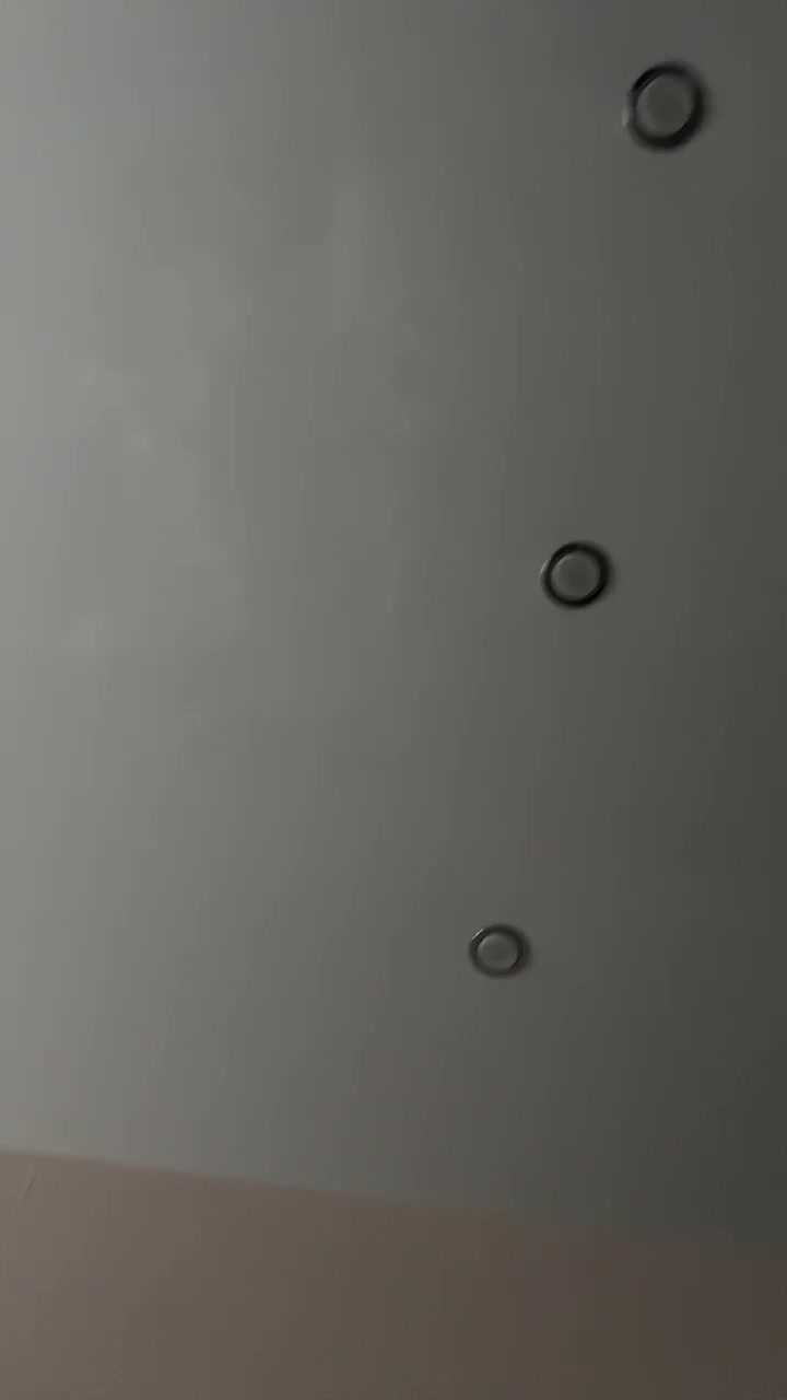 View or download file anymals on 2024-11-13 from bongacams