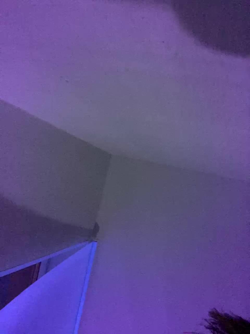 View or download file nikandst on 2024-11-13 from bongacams