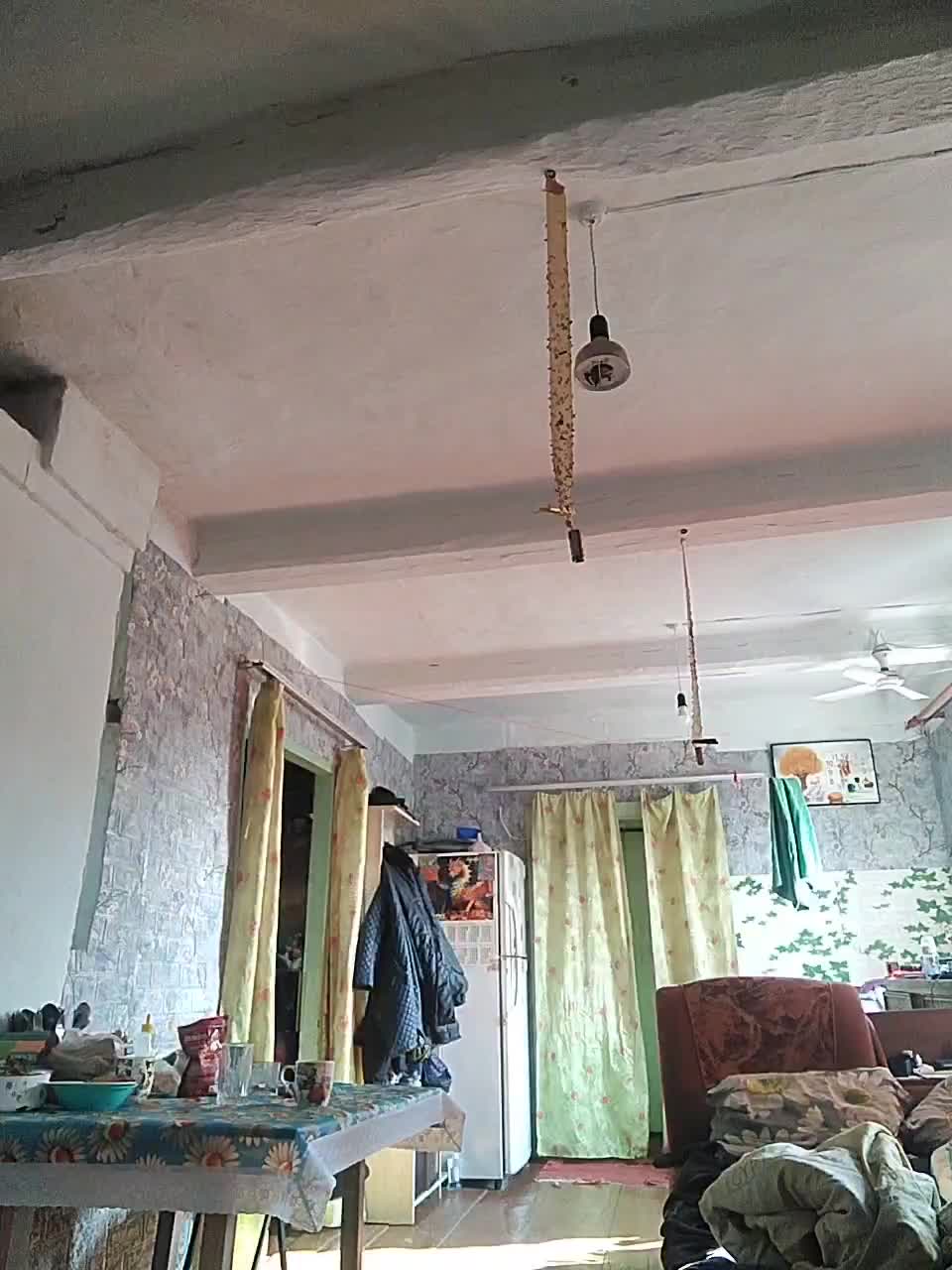 View or download file sergei_44_1_1 on 2024-11-13 from bongacams