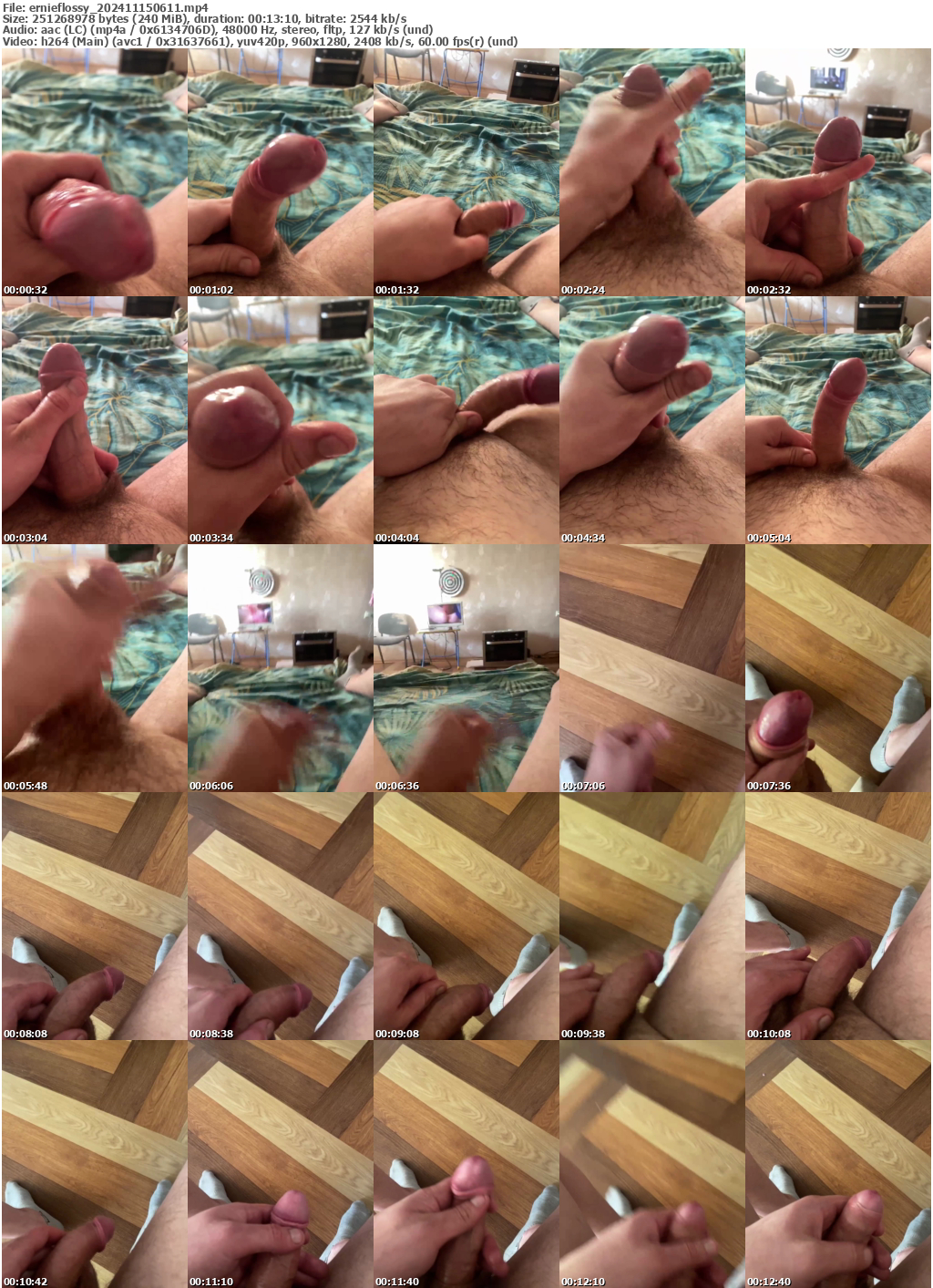 Preview thumb from ernieflossy on 2024-11-15 @ bongacams