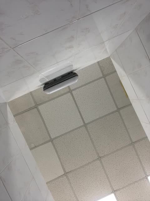 View or download file _a_l_i_c_e_ on 2024-11-16 from bongacams