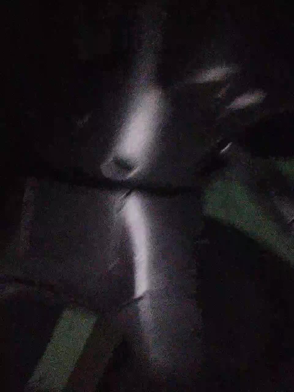 View or download file auka4 on 2024-11-16 from bongacams