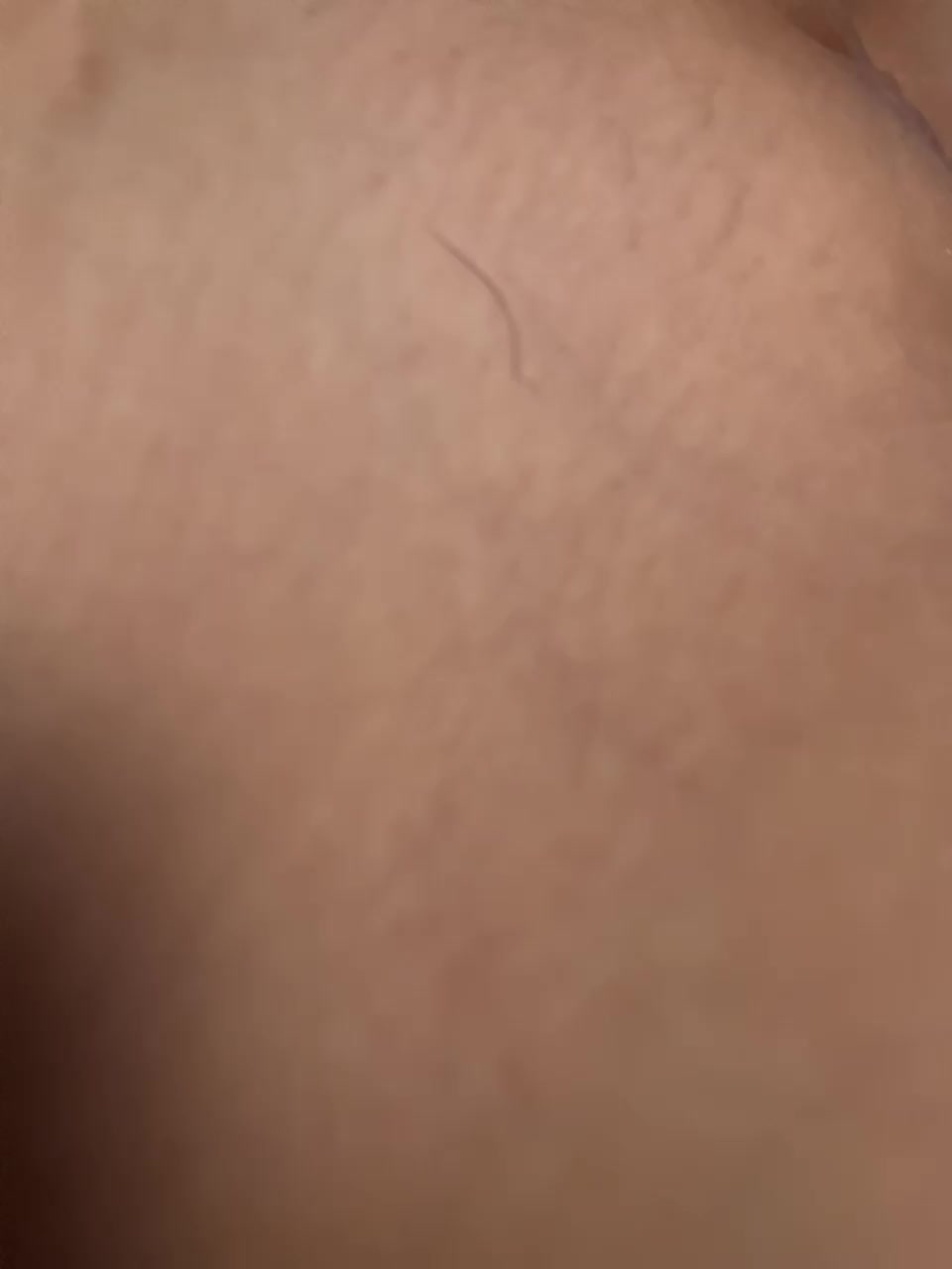 View or download file maksandann on 2024-11-16 from bongacams