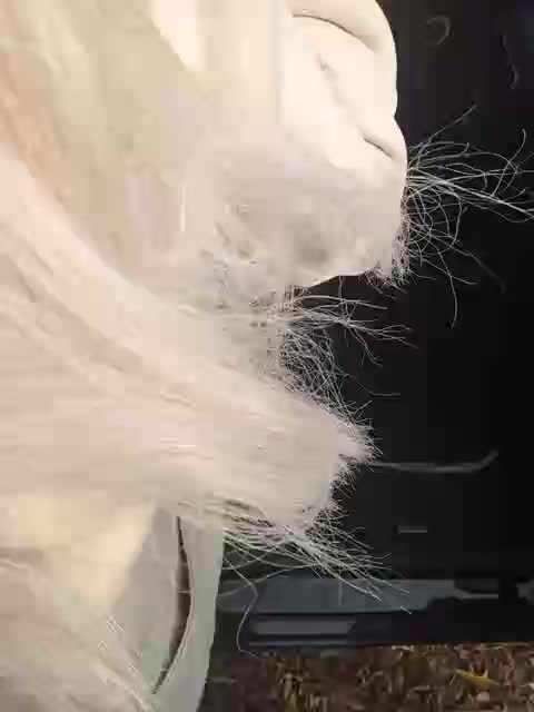 View or download file katrusi4ka on 2024-11-18 from bongacams