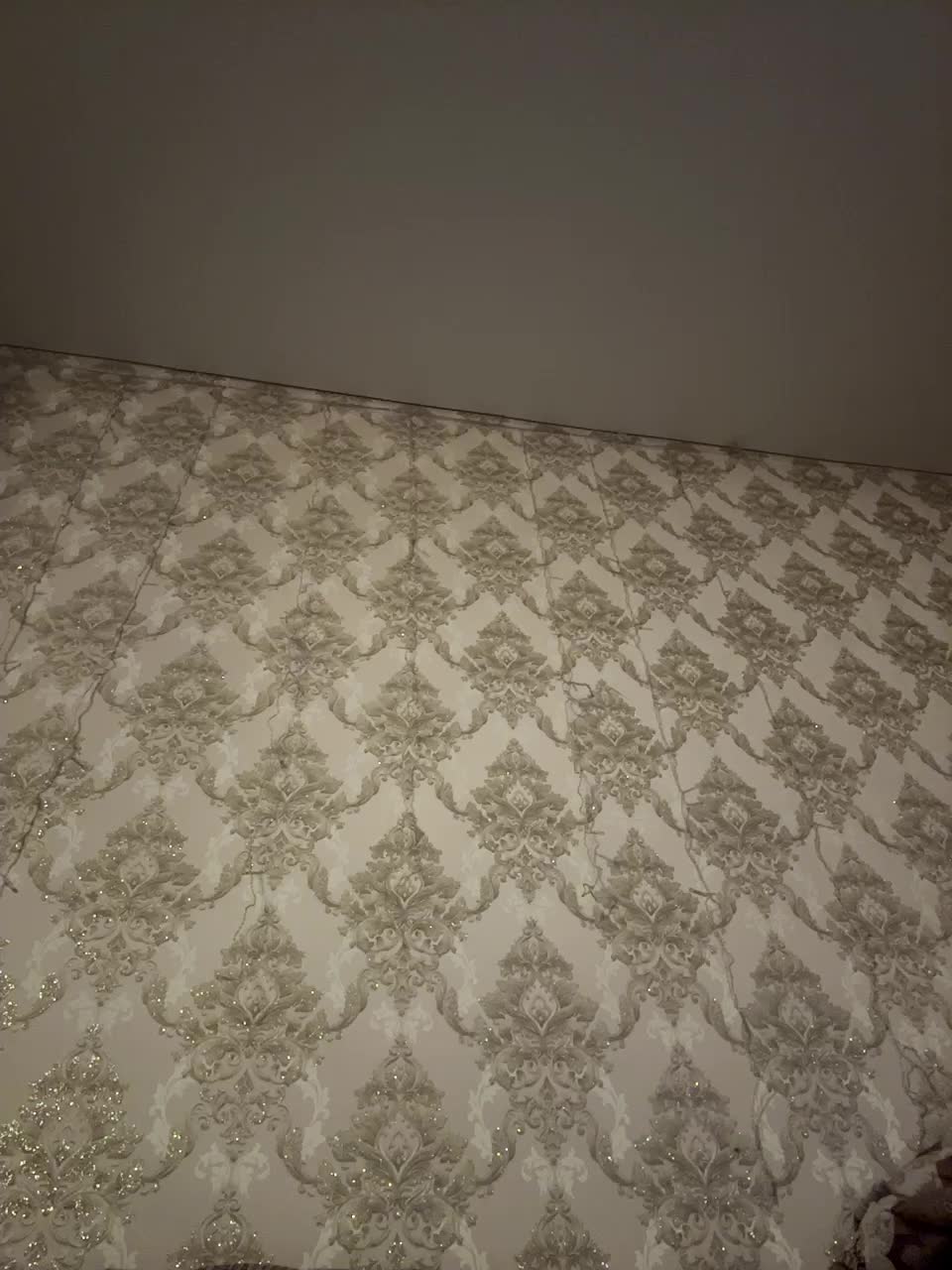 View or download file leyladddd on 2024-11-18 from bongacams