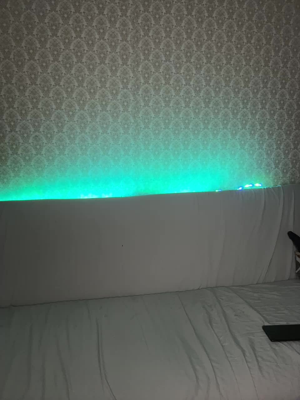 View or download file lunalu13 on 2024-11-18 from bongacams