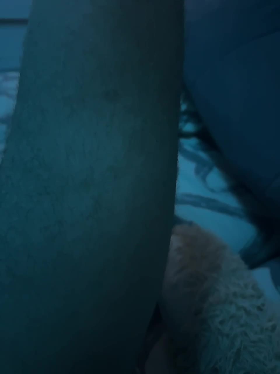 View or download file wetpussygirl777 on 2024-11-20 from bongacams