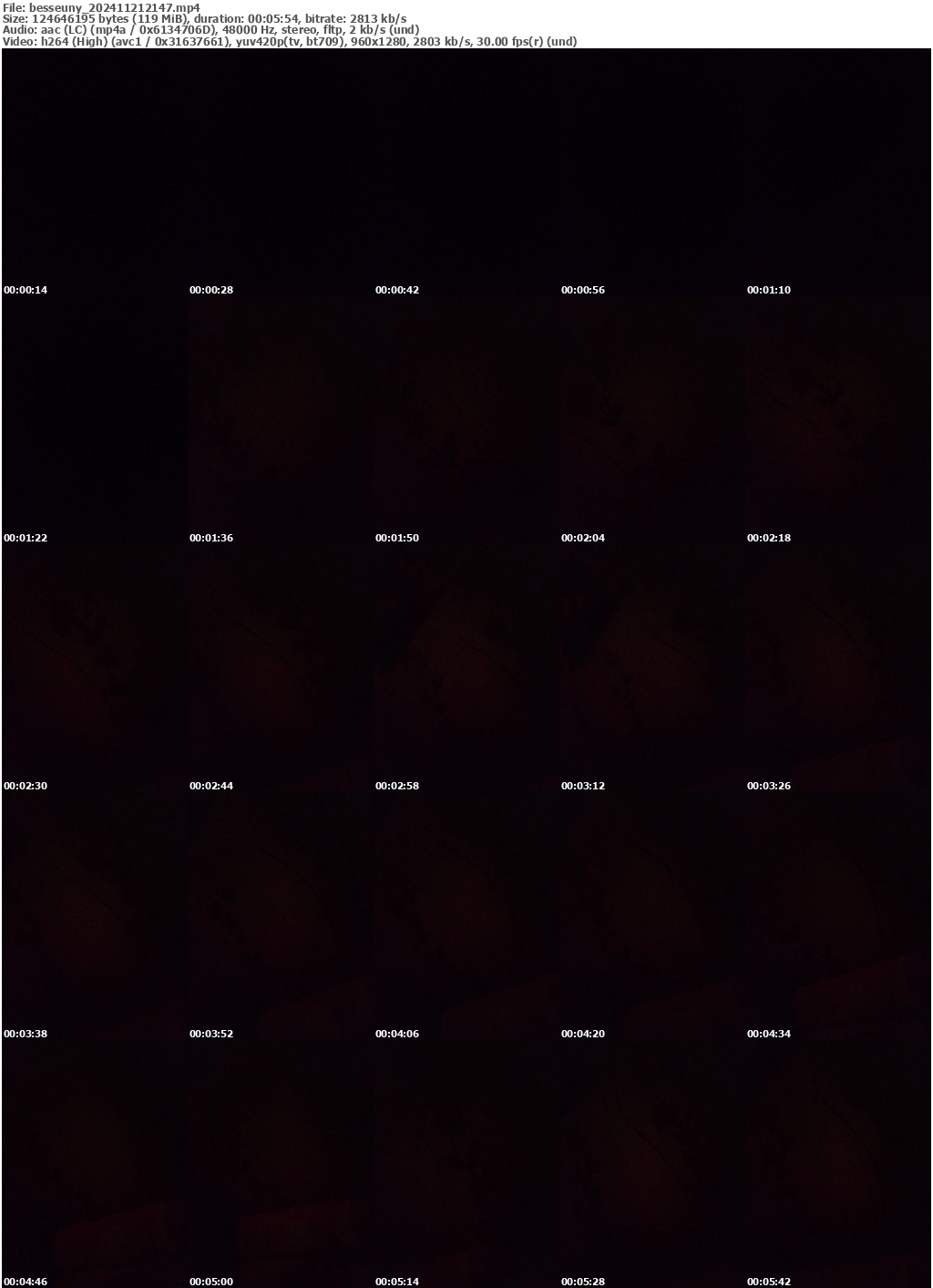 Preview thumb from besseuny on 2024-11-21 @ bongacams