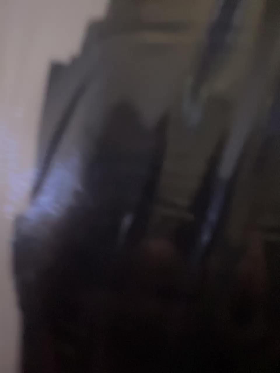 View or download file monsteradiamond on 2024-11-21 from bongacams