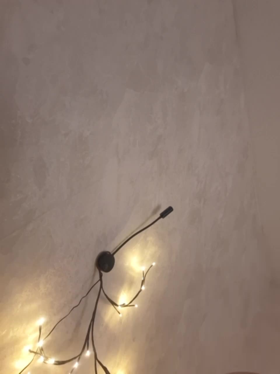 View or download file littledelora on 2024-11-22 from bongacams