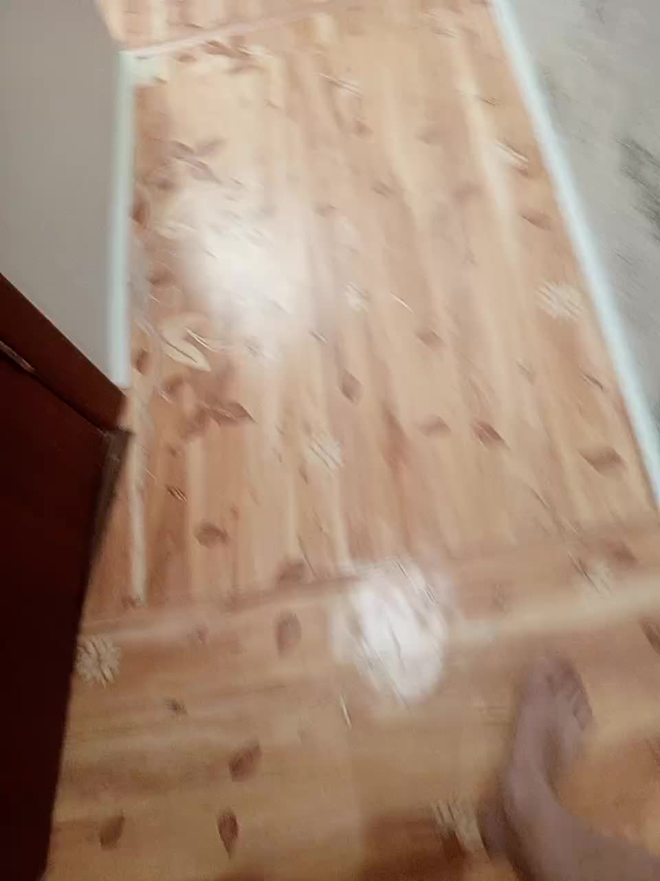 View or download file niki233221 on 2024-11-22 from bongacams