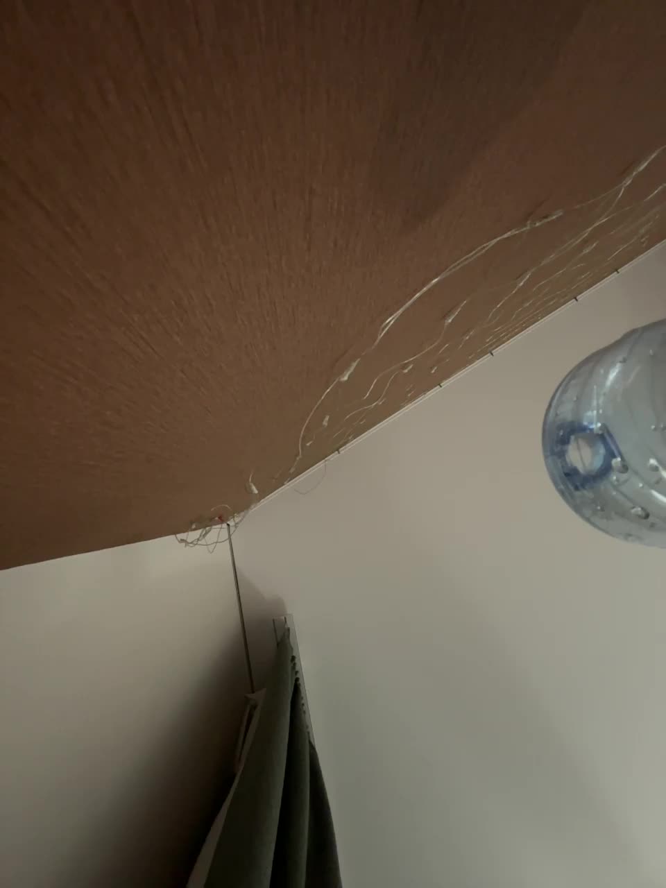 View or download file vagnermur on 2024-11-22 from bongacams