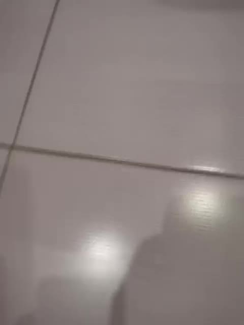 View or download file twobitrim on 2024-11-26 from bongacams