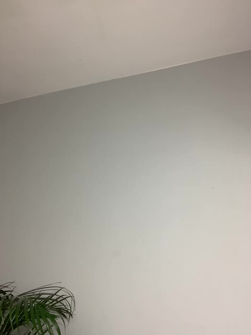 View or download file vladamais on 2024-12-01 from bongacams