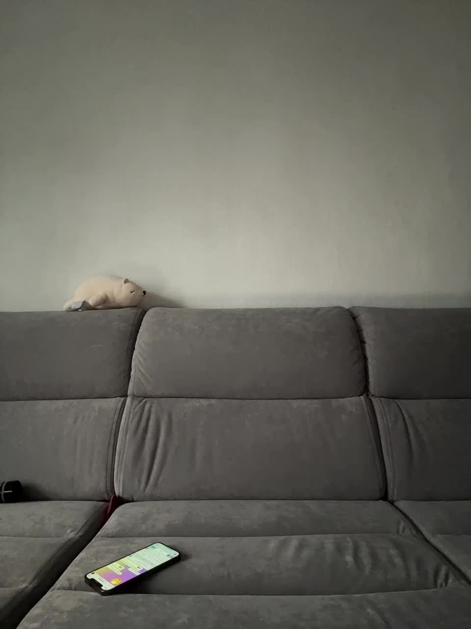 View or download file parissaintgermain on 2024-12-02 from bongacams