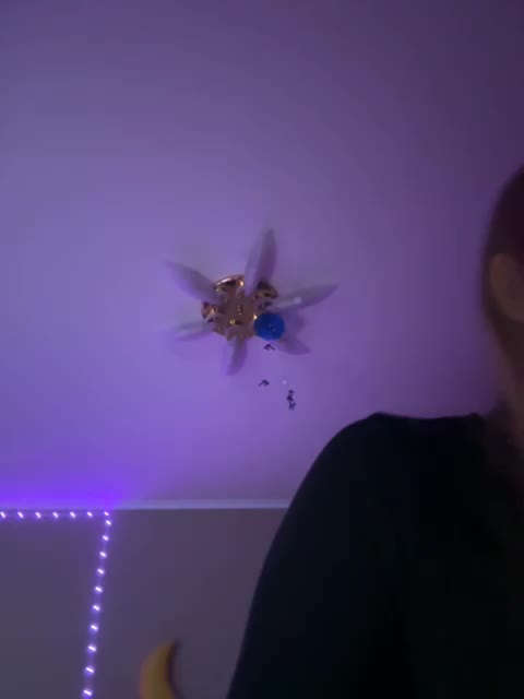 View or download file milana12071 on 2024-12-03 from bongacams