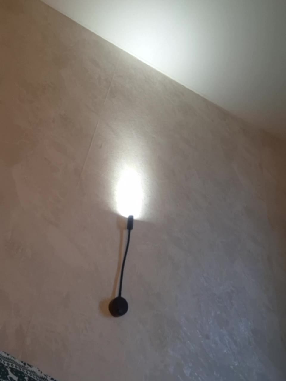 View or download file littledelora on 2024-12-04 from bongacams