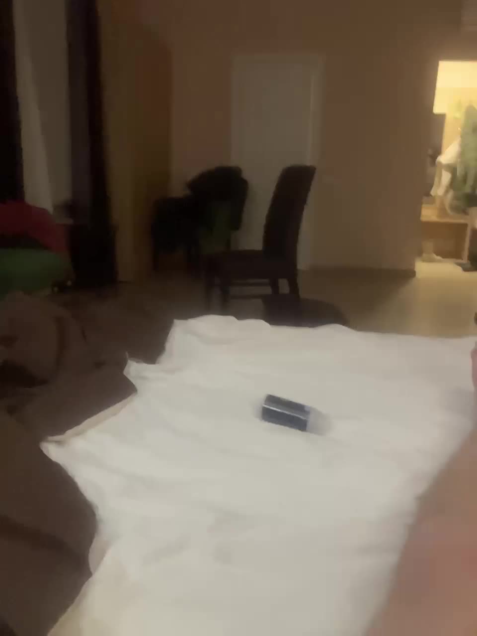 View or download file mileshil on 2024-12-05 from bongacams