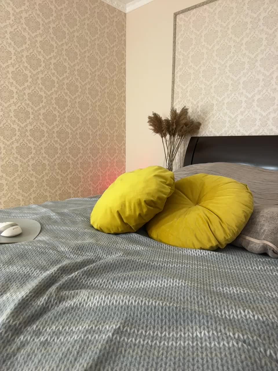 View or download file _vaka_ on 2024-12-07 from bongacams